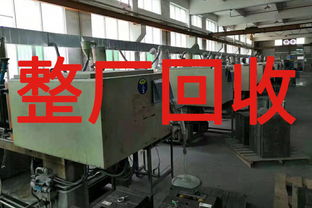 明智之選 如何嚴謹評估東莞整廠回收與寄賣服務方案